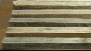 Испытание образцов древесины на изгиб